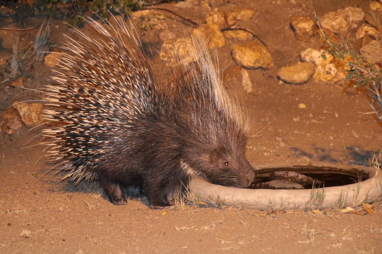 Bushvilla Umoja Kruger Палаборва Екстериор снимка
