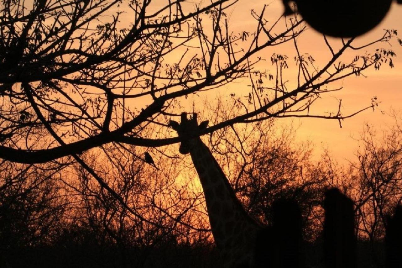 Bushvilla Umoja Kruger Палаборва Екстериор снимка