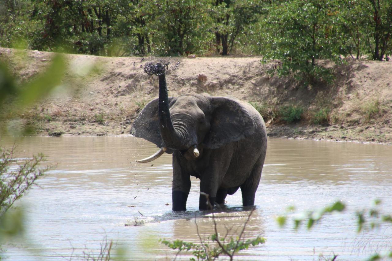 Bushvilla Umoja Kruger Палаборва Екстериор снимка