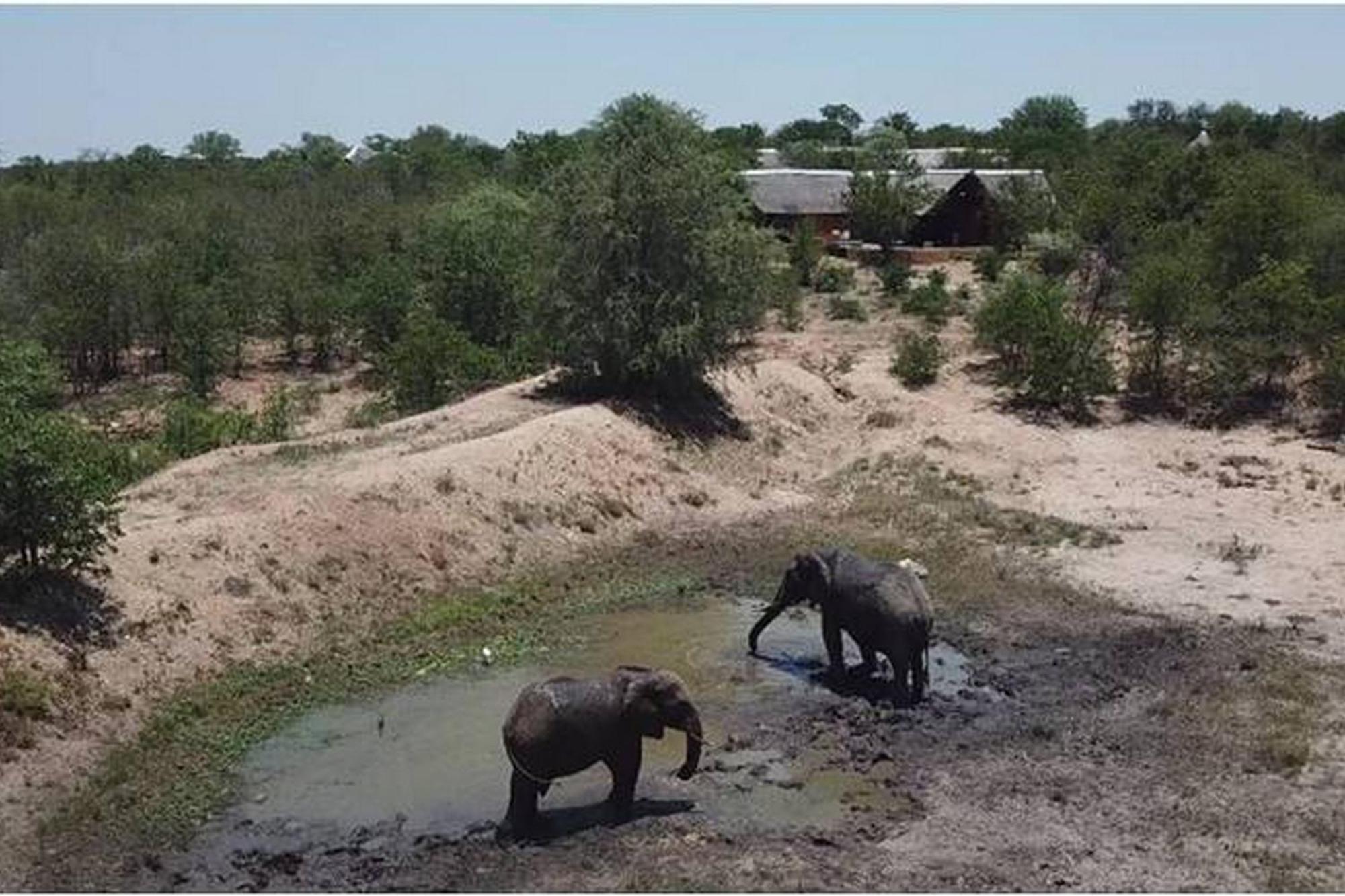 Bushvilla Umoja Kruger Палаборва Екстериор снимка