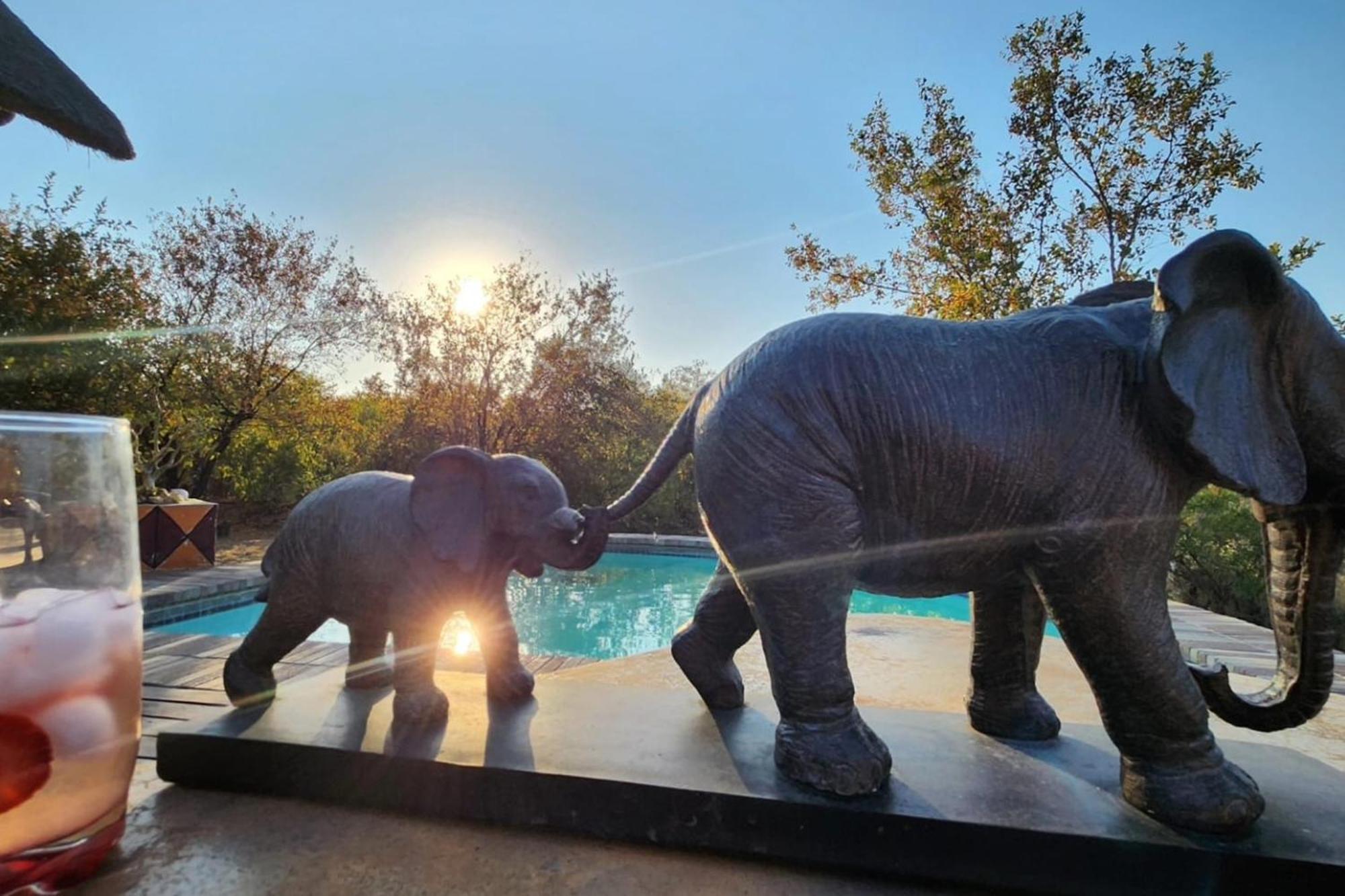 Bushvilla Umoja Kruger Палаборва Екстериор снимка