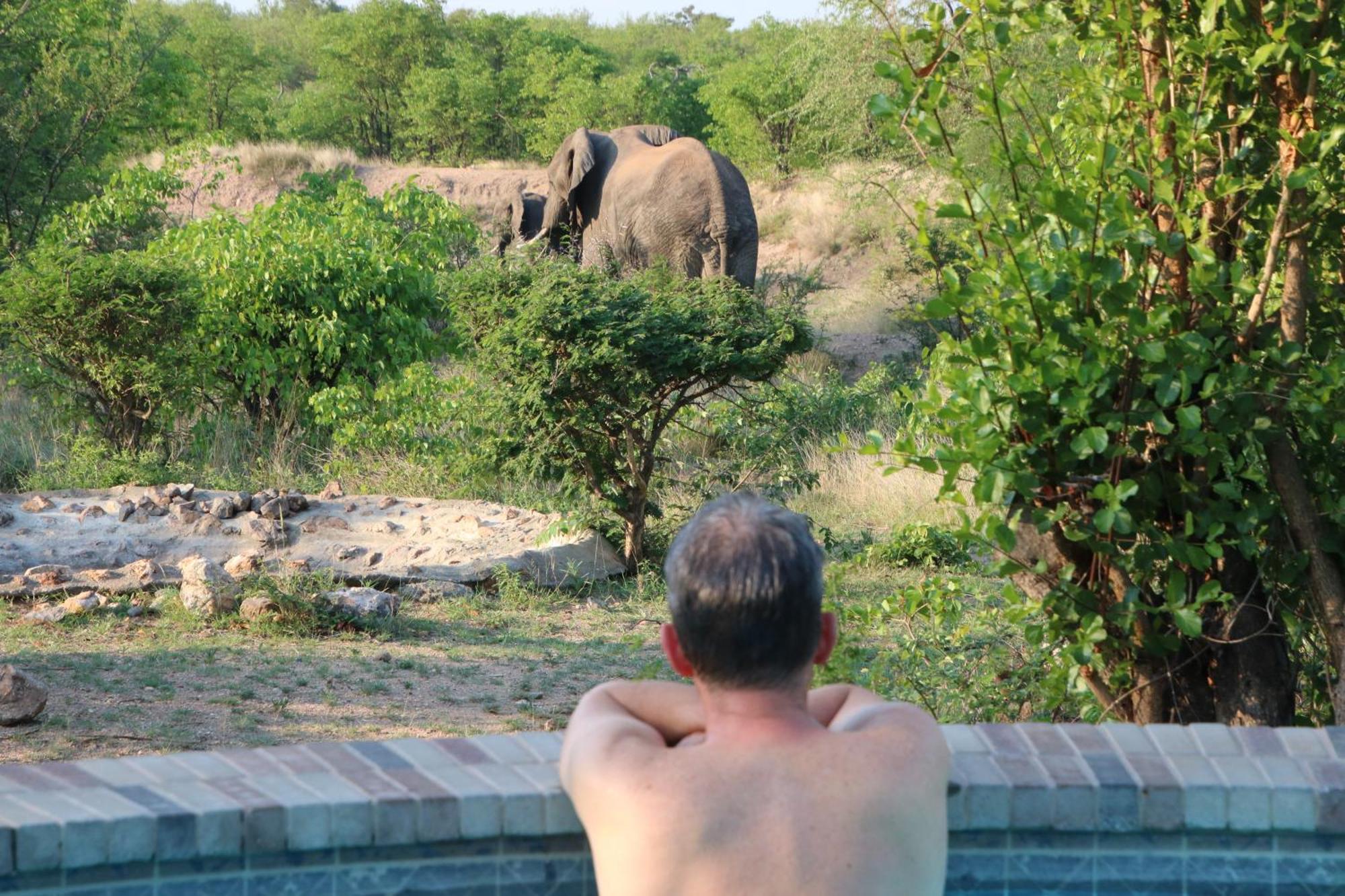 Bushvilla Umoja Kruger Палаборва Екстериор снимка